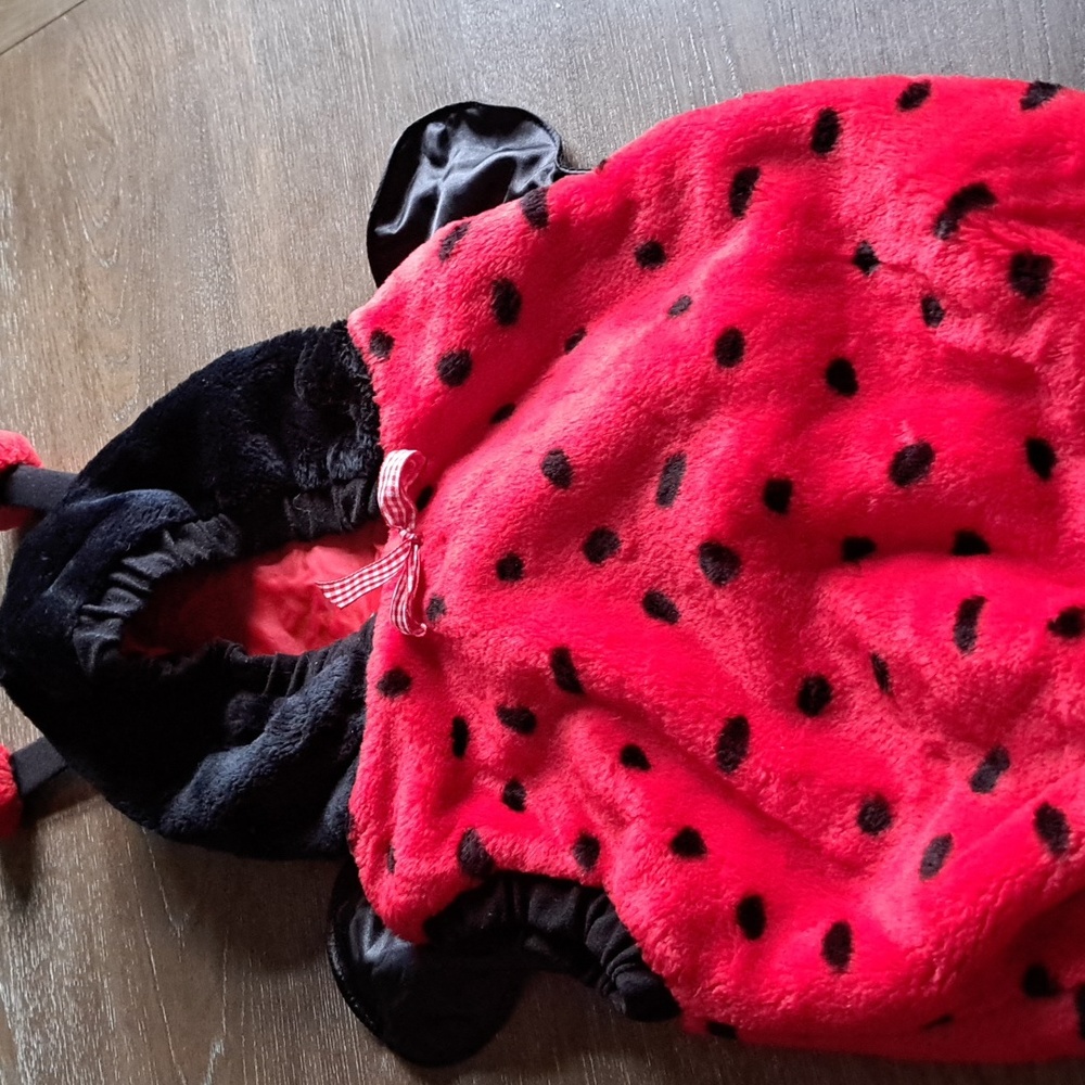 Furry Lady Bug with Wings Halloween Costume 12-24 months